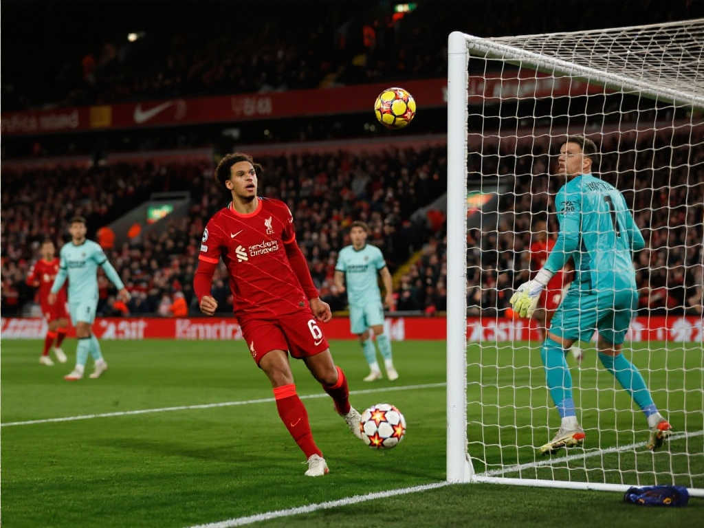 开云体育概况简介